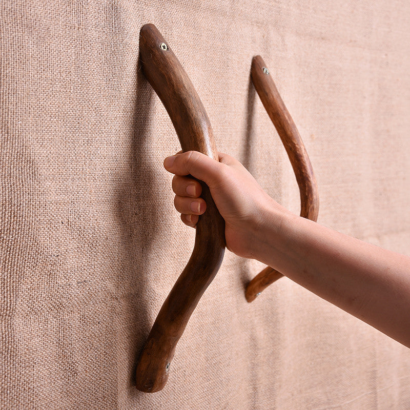 branch door handle